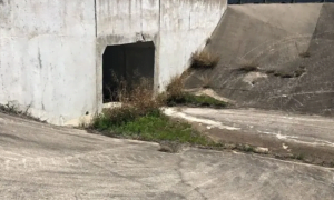 1 1725449026 7872 1725449082