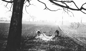 3 1724758911 9592 1724759077