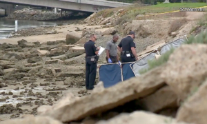 3 1725013547 6411 1725013581