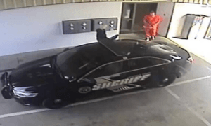 3 1727348701 5617 1727348720