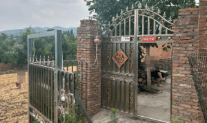 1 1729767634 4311 1729768140