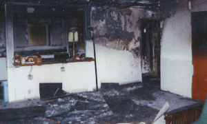 2 1727750770 6913 1727750917