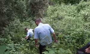 2 1728471423 6550 1728471460