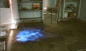 luminol 1729852429 6724 1729852514