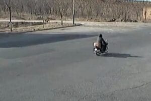 1 jpeg 1911 1732616662