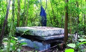 1085669134 50ay2s 4179 1732014 1582 6519 1732014431