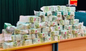 L2 1731627367 3976 1731628361