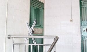 2 1733472555 8565 1733473120