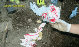 3 1733389938 6389 1733389954