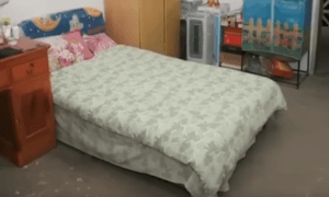 3 1734517492 3465 1734518011