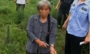 nimg ws 1 1733222148 4353 1733222207