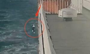 4e0adfe4fcf044b8bb5c26b080d9f9 8167 9788 1736333164