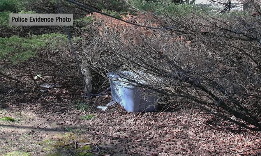 471522614 1333162681396531 528 5042 5801 1740568707