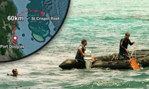 ba8e2e497243c81b244ad39a91f308 3975 7477 1739359803