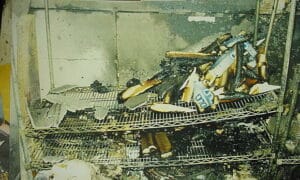 yogurtshop 07 1739531568 17395 4354 4109 1739532905